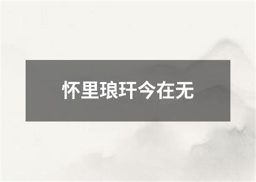 怀里琅玕今在无