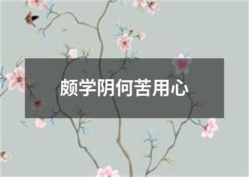 颇学阴何苦用心