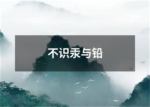 不识汞与铅