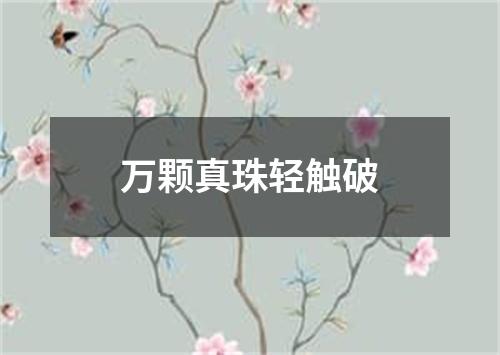 万颗真珠轻触破