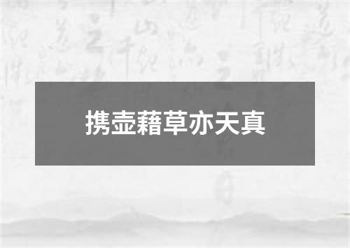 携壶藉草亦天真