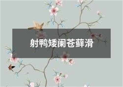 射鸭矮阑苍藓滑