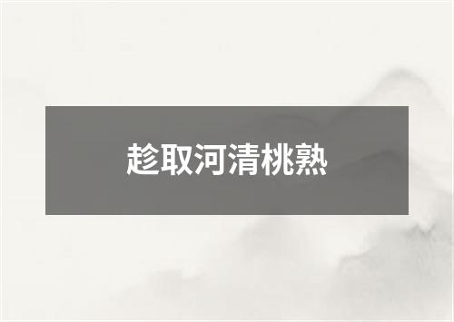 趁取河清桃熟