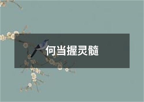 何当握灵髓