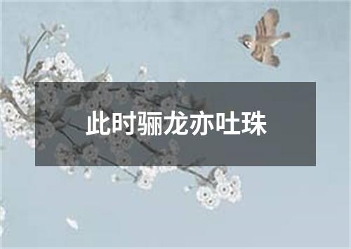 此时骊龙亦吐珠