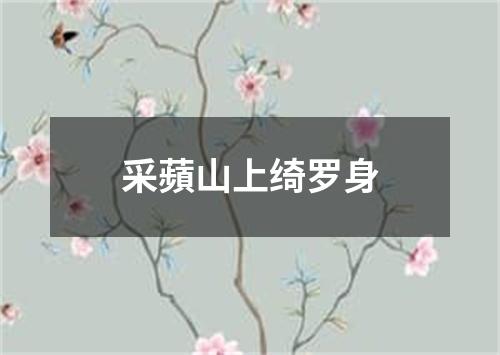 采蘋山上绮罗身