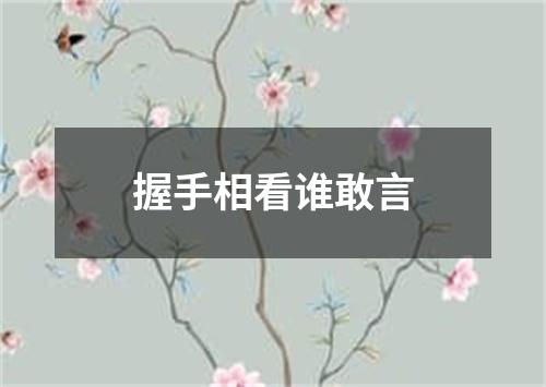 握手相看谁敢言