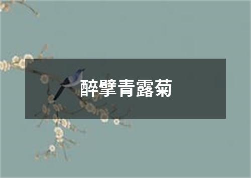 醉擘青露菊