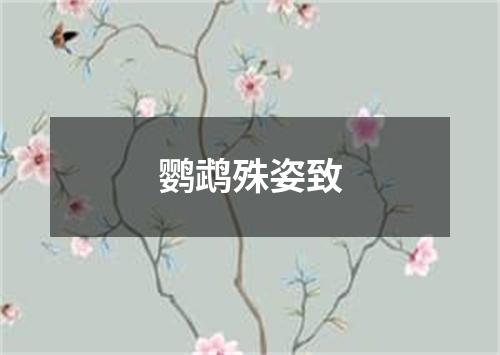 鹦鹉殊姿致