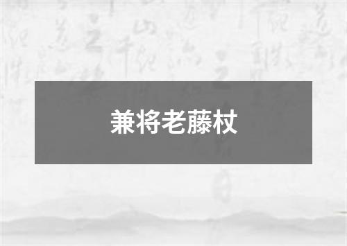 兼将老藤杖