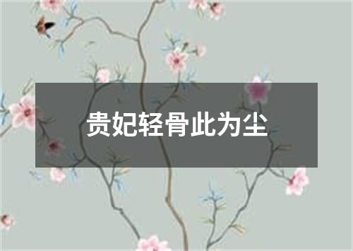 贵妃轻骨此为尘