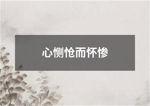 心恻怆而怀惨