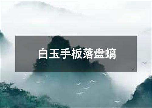 白玉手板落盘螭