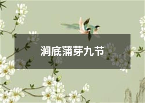 涧底蒲芽九节