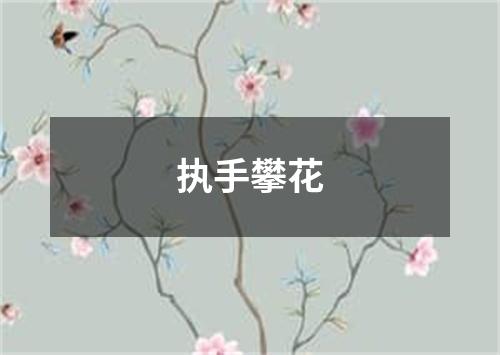 执手攀花