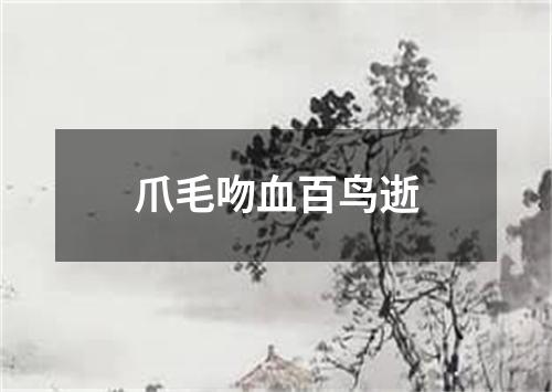 爪毛吻血百鸟逝