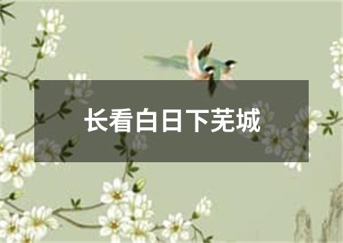 长看白日下芜城