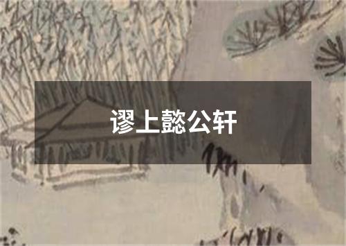 谬上懿公轩