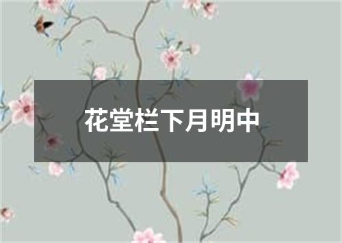 花堂栏下月明中