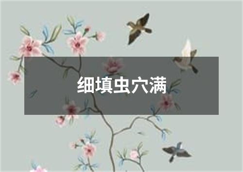 细填虫穴满