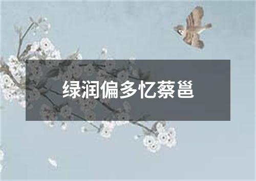 绿润偏多忆蔡邕