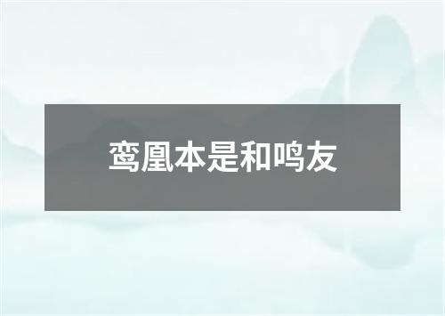 鸾凰本是和鸣友