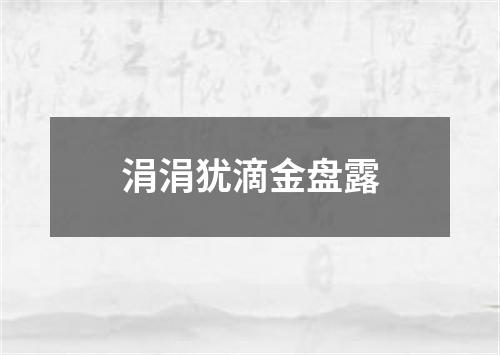 涓涓犹滴金盘露