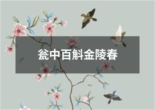 瓮中百斛金陵春