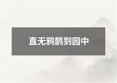 直无鸦鹊到园中