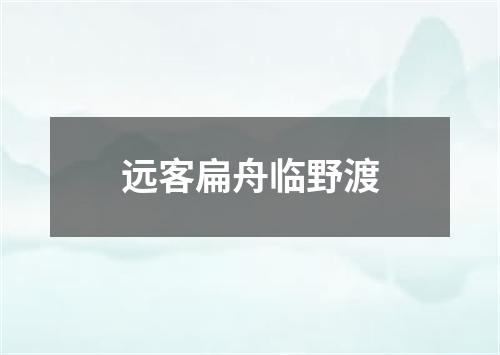 远客扁舟临野渡