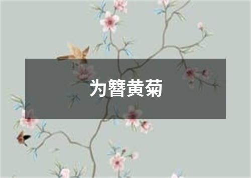 为簪黄菊