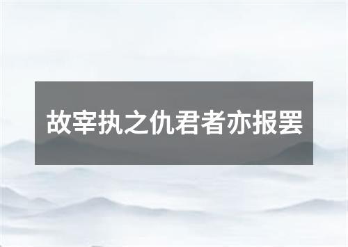 故宰执之仇君者亦报罢