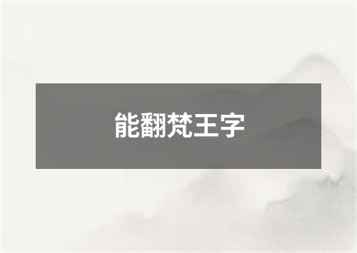 能翻梵王字