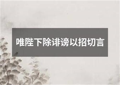 唯陛下除诽谤以招切言