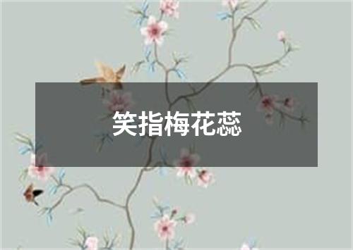 笑指梅花蕊