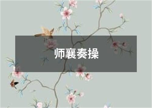 师襄奏操