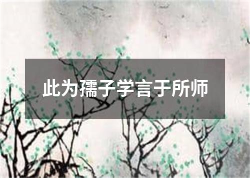 此为孺子学言于所师