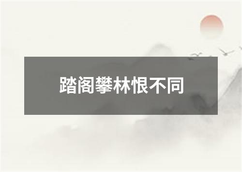 踏阁攀林恨不同