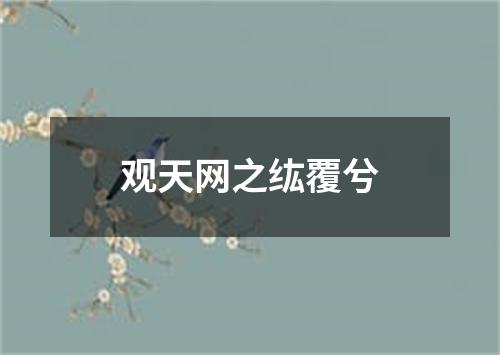 观天网之纮覆兮