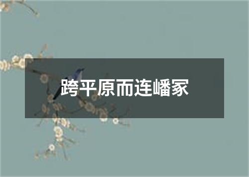 跨平原而连嶓冢