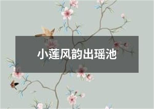 小莲风韵出瑶池