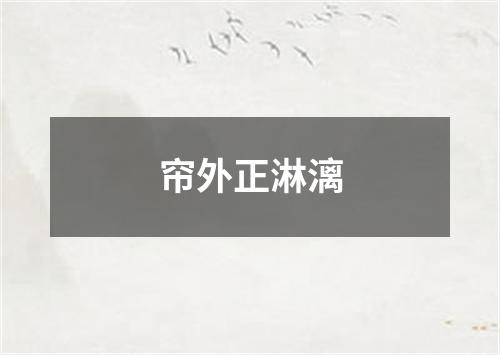 帘外正淋漓