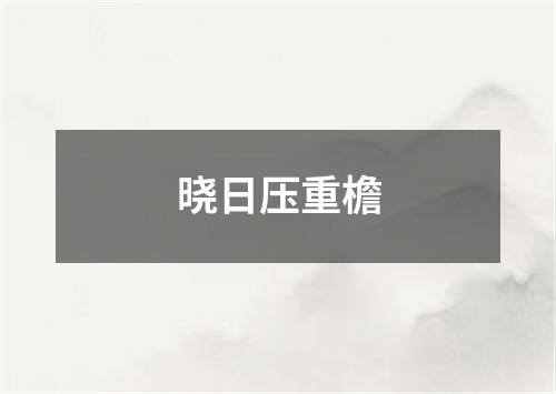 晓日压重檐