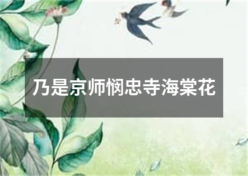 乃是京师悯忠寺海棠花