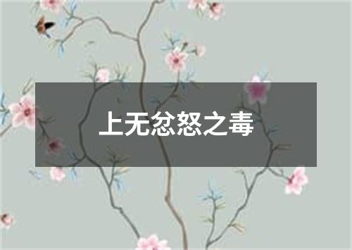 上无忿怒之毒