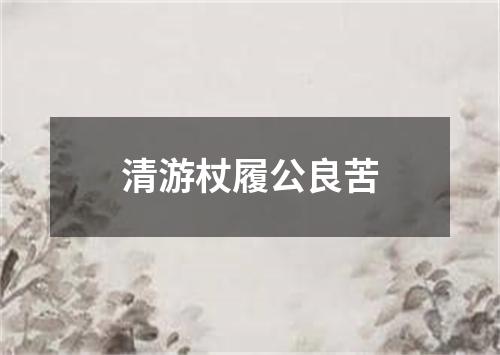 清游杖履公良苦