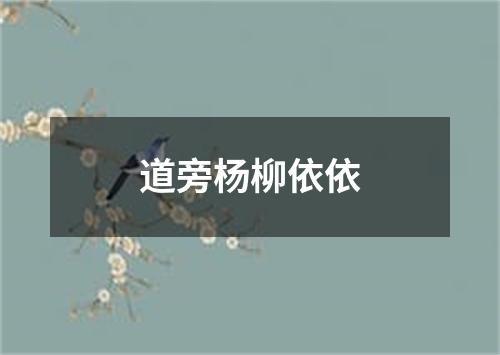 道旁杨柳依依