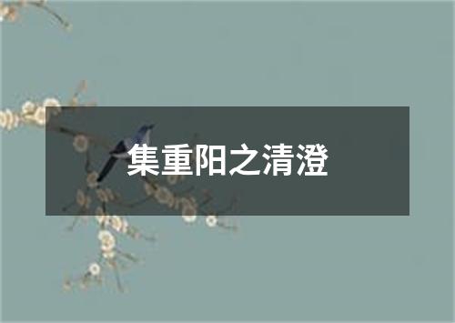 集重阳之清澄