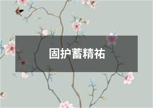 固护蓄精祐