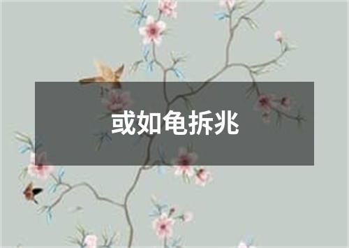 或如龟拆兆